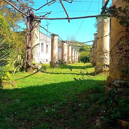 דירה La Selva *