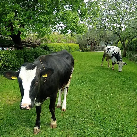 La Selva דירה *
