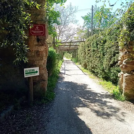 La Selva * Мета
