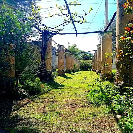 La Selva *