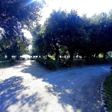 La Selva *